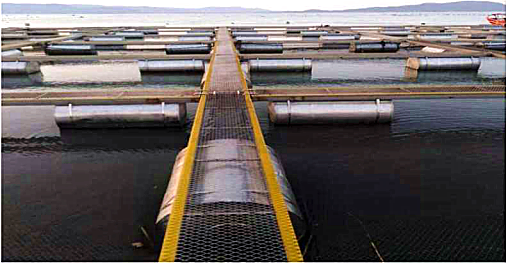 1756979329470011.png 微信圖片_20250903173822.png